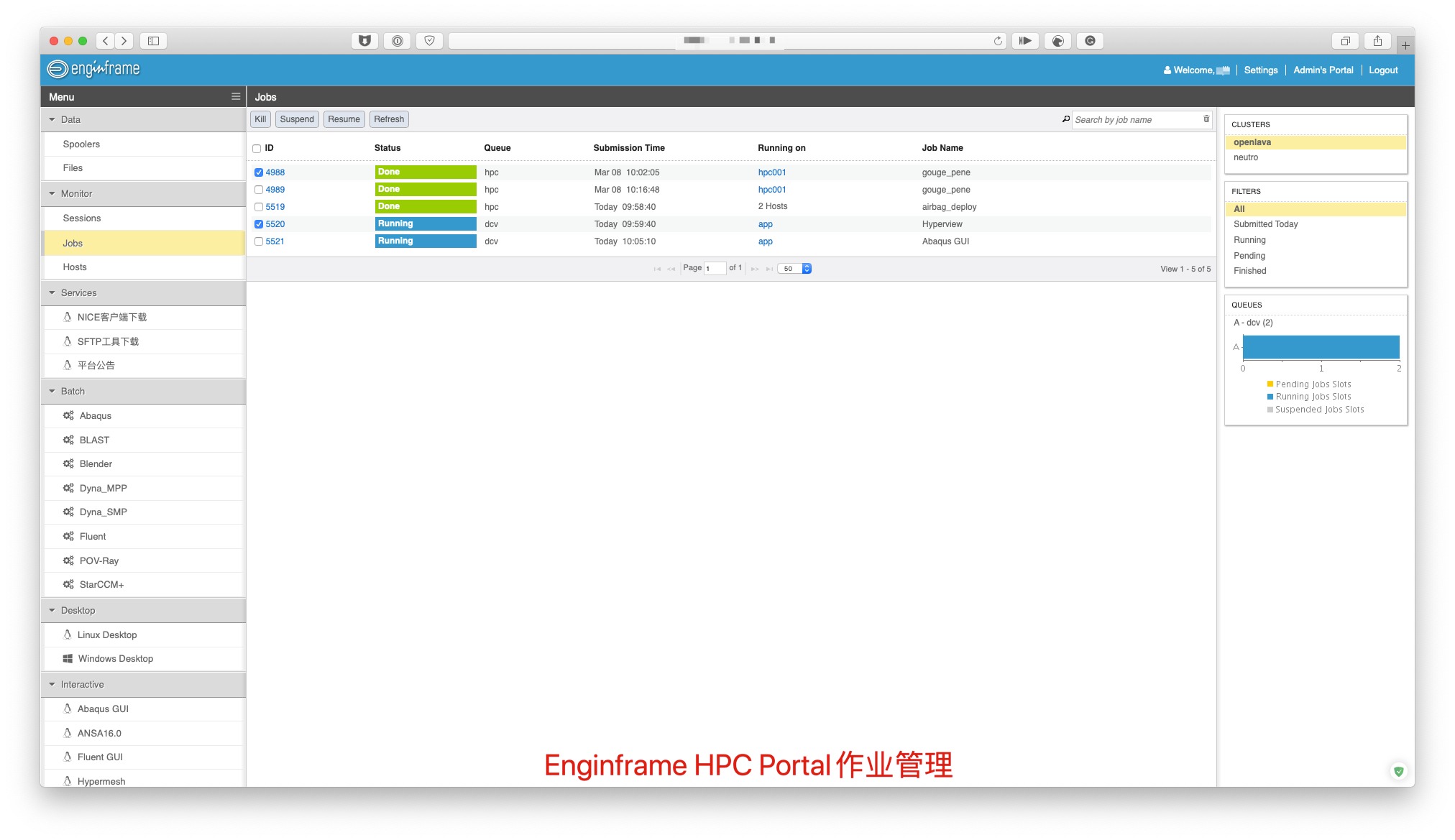 EnginFrame HPC Portal 作业管理