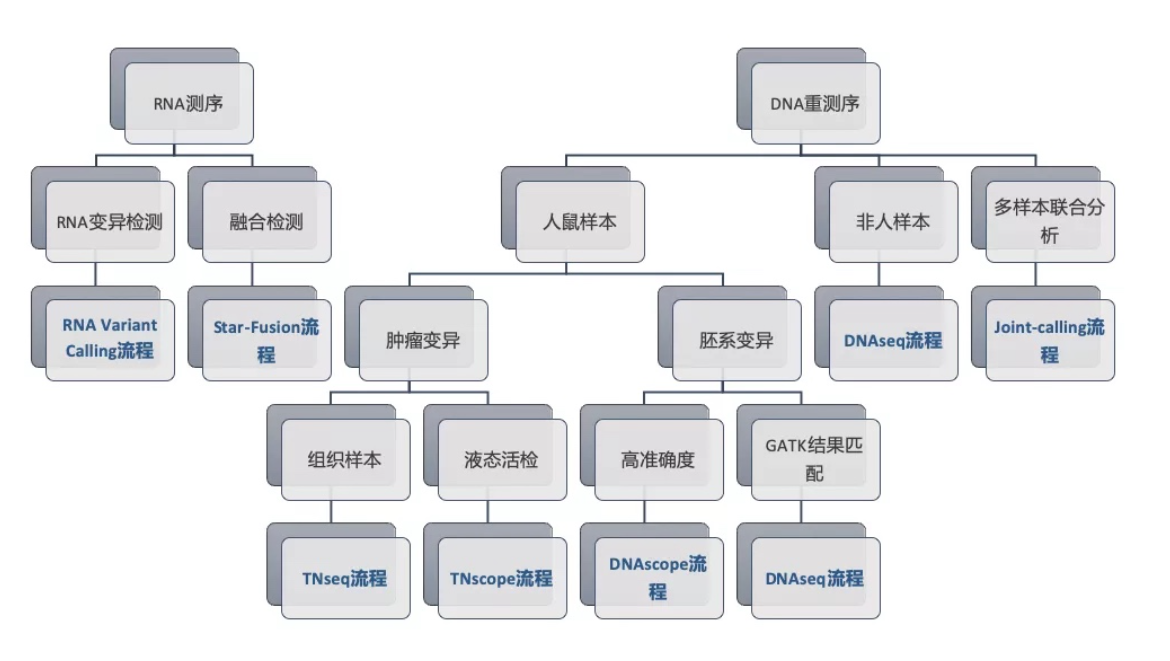 Sentieon DNA与RNA分析流程树